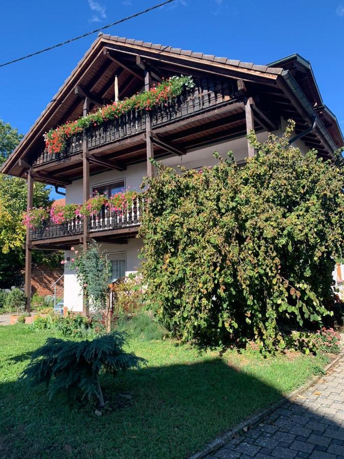 Gaestehaus Zum Rhein Rheinhausen Exterior foto